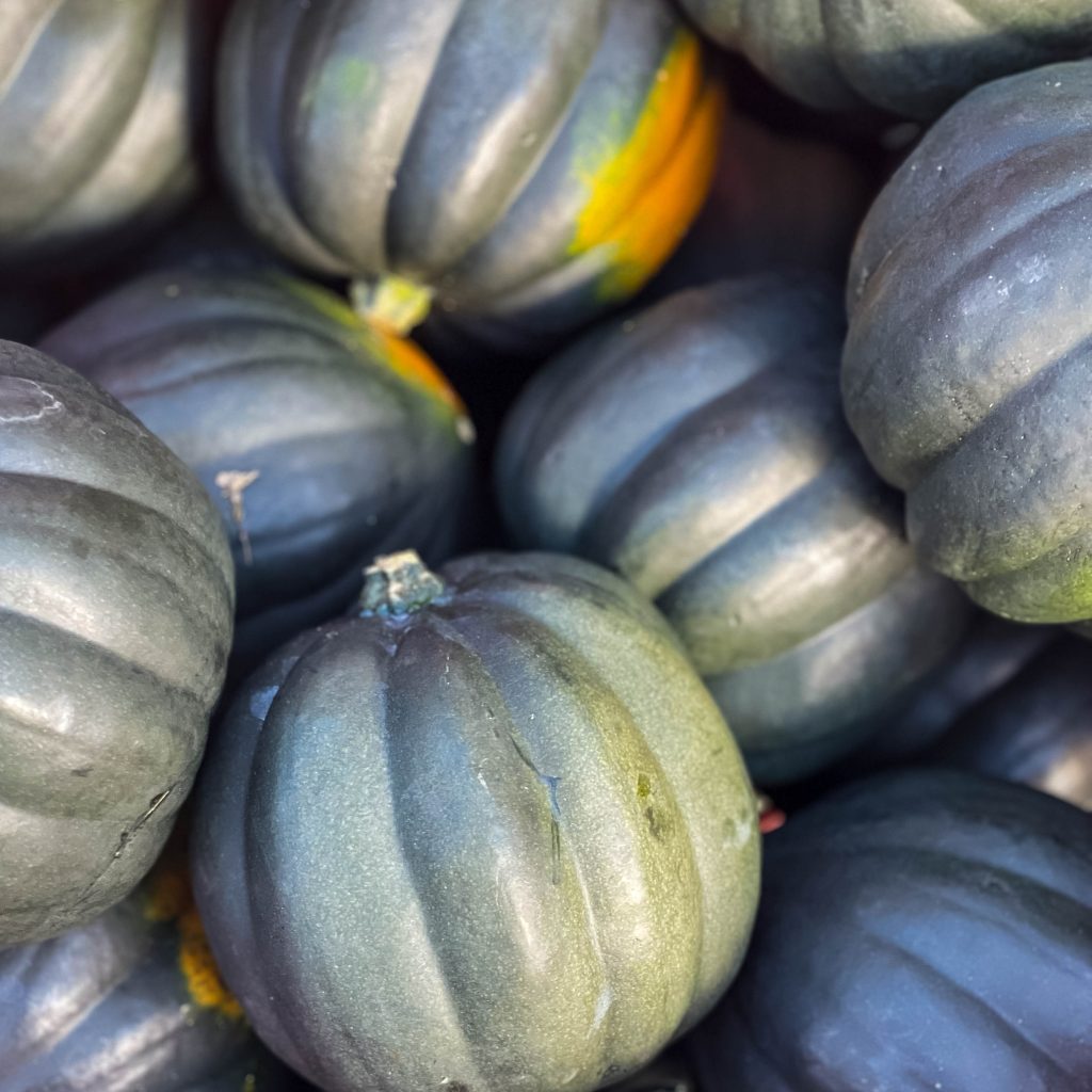 squash for Brown Sugar Acorn Squash