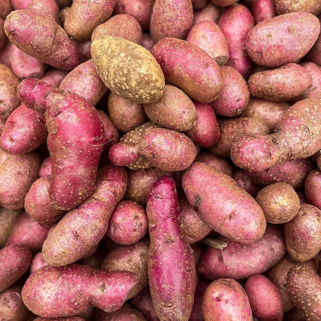 sweet potatoes for mashed potatoes